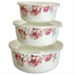 TEROPAL Набор салатников 3 штуки с крышками 10005-SK