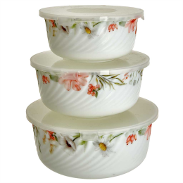 TEROPAL Набор салатников 3 штуки с крышками 10007-SK
