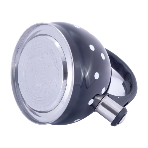 Чайник 2 л. из нержавеющей стали со свистком Kamille KM-1070BL и нейлоновой ручкой