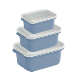 DD STYLE Набор контейнеров прямоугольных 3 шт (600 + 1000 + 2000 мл) 31226