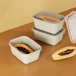 DD STYLE Прямоугольный контейнер 2500 мл 31228