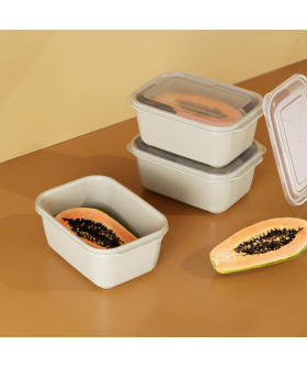 DD STYLE Прямоугольный контейнер 2500 мл 31228