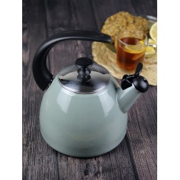 Kamille Чайник 2,5 л. эмалированный KM 1040A