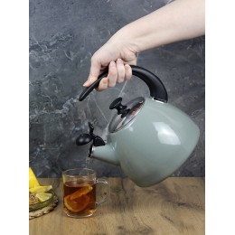 Kamille Чайник 2,5 л. эмалированный KM 1040A