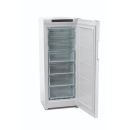 INDESIT Морозильная камера DFZ 4150