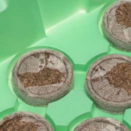 СИБРТЕХ Мини-парник с крышкой 240х125х50 мм 64331