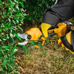 Denzel Секатор аккумуляторный CP-30 59435