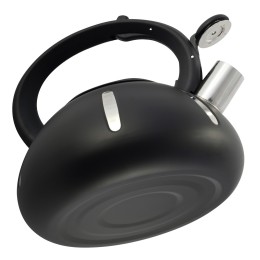 Kamille Чайник 2,5 л NB-100303