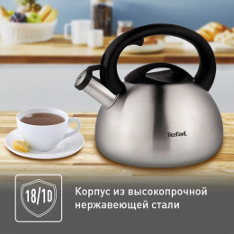 TEFAL Чайник C7921024 серебристый