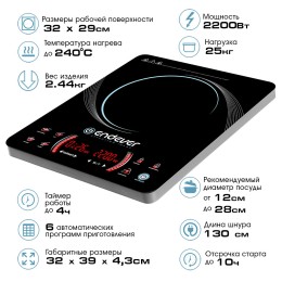 ENDEVER Индукционная плита Skyline IP-59