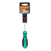 Отвертка TORX TT10H*75мм, с отверстием, CrV магнитный наконечник Sturm! 1040-23-TT10-75