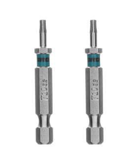 Gross Бита Torx 10х50мм, сталь S2, шестигр., 2 шт. 114168