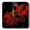 Весы напольные электронные Kelli KL-1520