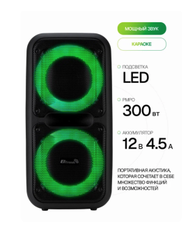 ELTRONIC Акустика 20-07 DANCE BOX 