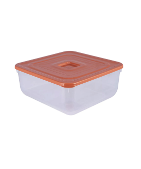 DELTA Контейнер для СВЧ 2,3 л PRACTIC 4388700