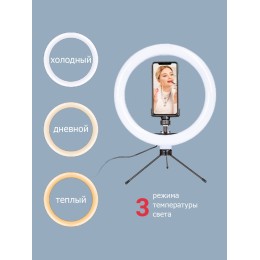 PIONEER Кольцевая лампа SL-10410