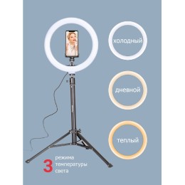 PIONEER Кольцевая лампа SL-10510