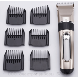 БЕРДСК Машинка для стрижки волос Бердск Э. ЭМ.007. АБ