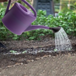 Sparta Лейка садовая, 8 л, пластмассовая 67515