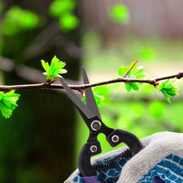 Palisad Секатор цветочный, 180 мм, металлические обрезиненные рукоятки, 60554