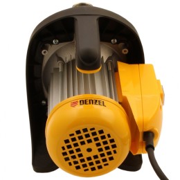 Denzel Садовый поверхностный насос GP1200Х, 1200 Вт, 3700 л/ч, подъем 46 м, нержавейка 97204