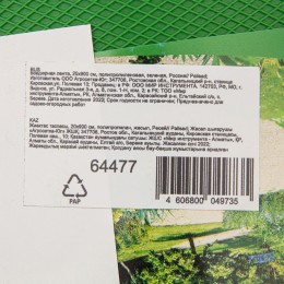 Palisad Бордюрная лента, 20 х 900 см, полипропиленовая, зеленая, Россия, 64477