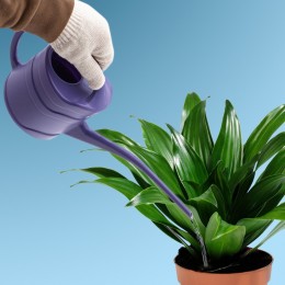 Sparta Лейка малая, 1.3 л, пластмассовая 67500