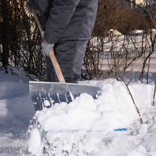 Лопата для уборки снега алюминиевая, 430 х 370 х 1350 мм, деревянный черенок, Россия, Сибртех 61582