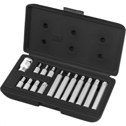 Stels Набор бит TORX, хвостовик-шестигранник, 10 мм, CrV, 15 предметов 11315