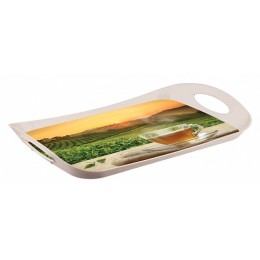 БЫТПЛАСТ Поднос 41,2*27 см 4312828 микс