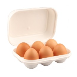 БЫТПЛАСТ Контейнер для яиц на 6 шт. 431212116