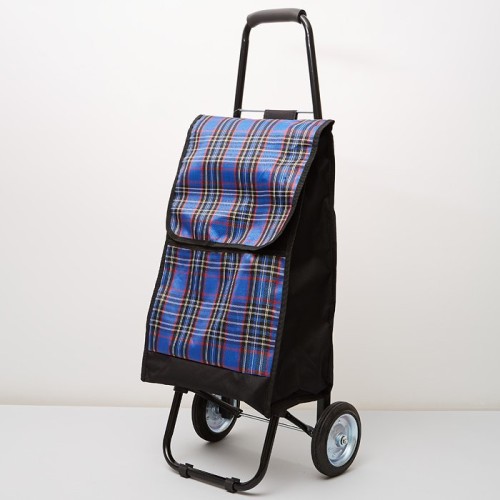 Тележка багажная ручная 50 кг DELTA DT 23 черная с синим