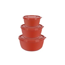 DD STYLE Набор контейнеров 30586 микс