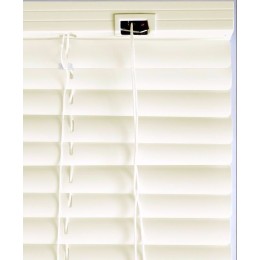 Oasis Жалюзи горизонтальные пластиковые 100/120