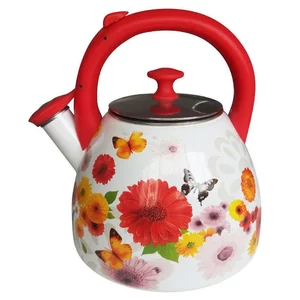 METALLONI Эмалированный чайник 3,0 л. Цветочная фантазия ЕМ 30001/43