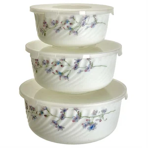 TEROPAL Набор салатников 3 штуки с крышками 10004-SK