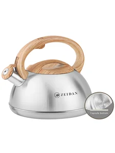 ZEIDAN Чайник Z-4546 3,0л.