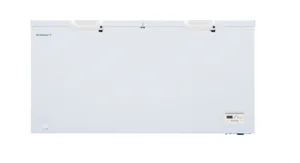 KRAFT  Морозильный ларь BD (W)-605QX