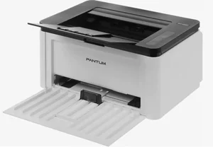 Pantum Принтер BP1800
