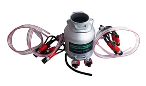 ELECTROLITE Доильная аппаратура Аксинья 2/2М 30л попарного доения (ведро 30 литров)