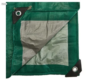 Зеленый луг Тент универсальный ЗЛТ120-3/4 (120 г/м²) размер 3x4 м зеленый/серебристый