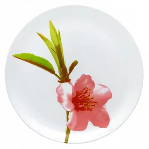 LUMINARC Тарелка обеденная 25см Water Color  E 4891 /J 4652