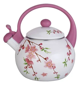 MAESTRO Эмалированный чайник 2,5л Rainbow MR 1320