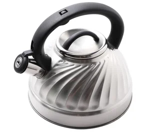 WELLBERG Чайник 3,0 л. WB 6645