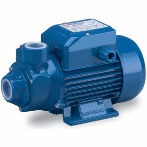 Pedrollo Насос вихревой PKm 60