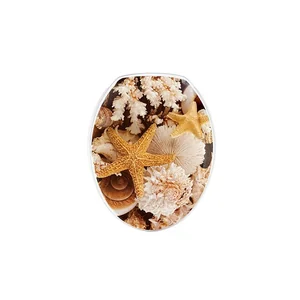 DD STYLE Сиденье для унитаза Звезда 1027 люкс