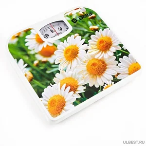 DELTA Весы механические напольные Ромашки D 9408