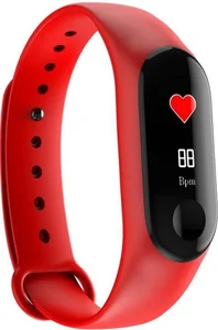 Smarterra Смарт-браслет FitMaster 1106741