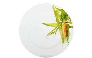 КОРАЛЛ Тарелка обеденная 26 см Овощи YQ1811