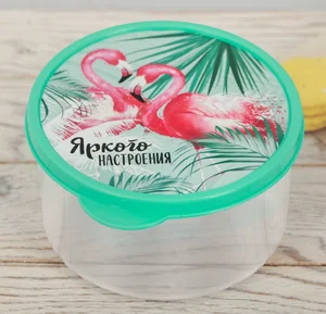 ЗВ Ланч-бокс  500 мл. Яркого настроения 3855123